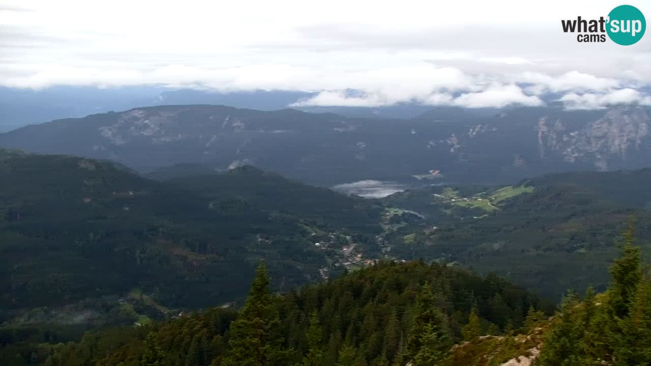 Koča na Golici Webcam (1582 m) – Slowenien