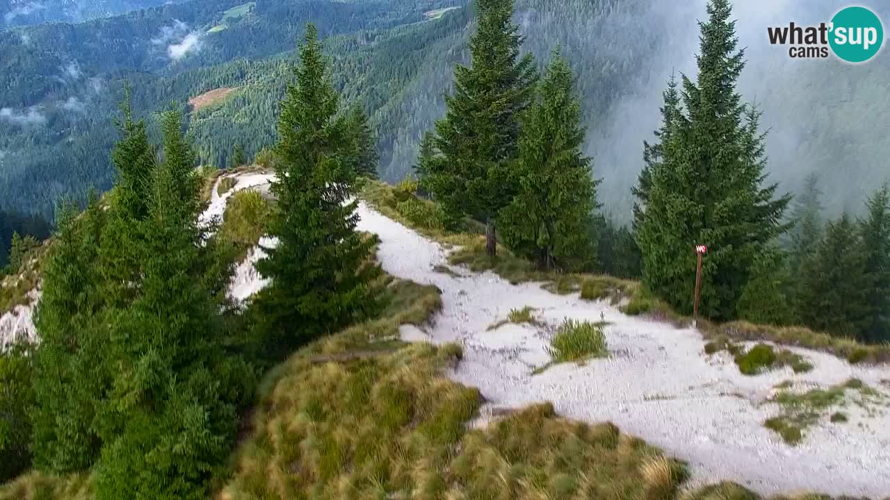 Webcam en Golica (1582 m) – Eslovenia