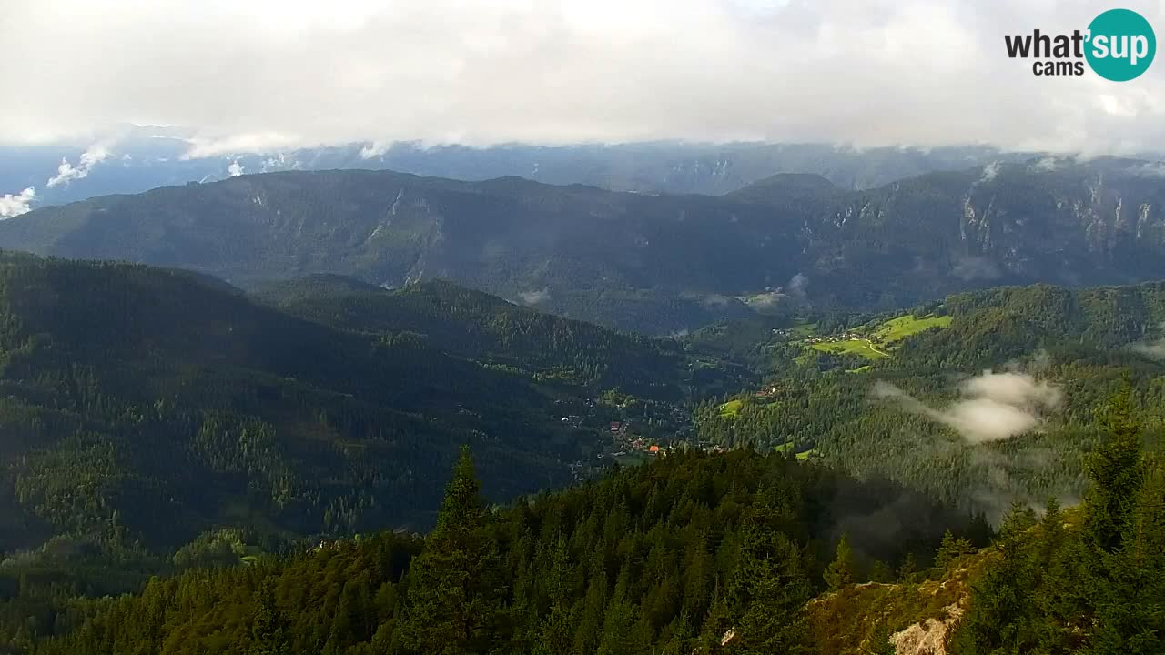 Webcam Koča na Golici (1582 m) – Slovenia