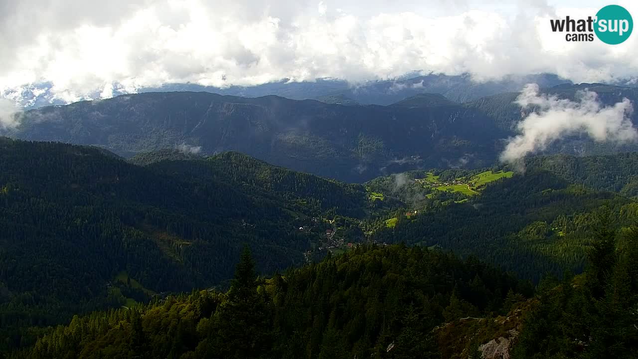 Webcam Koča na Golici (1582 m) – Slovenia