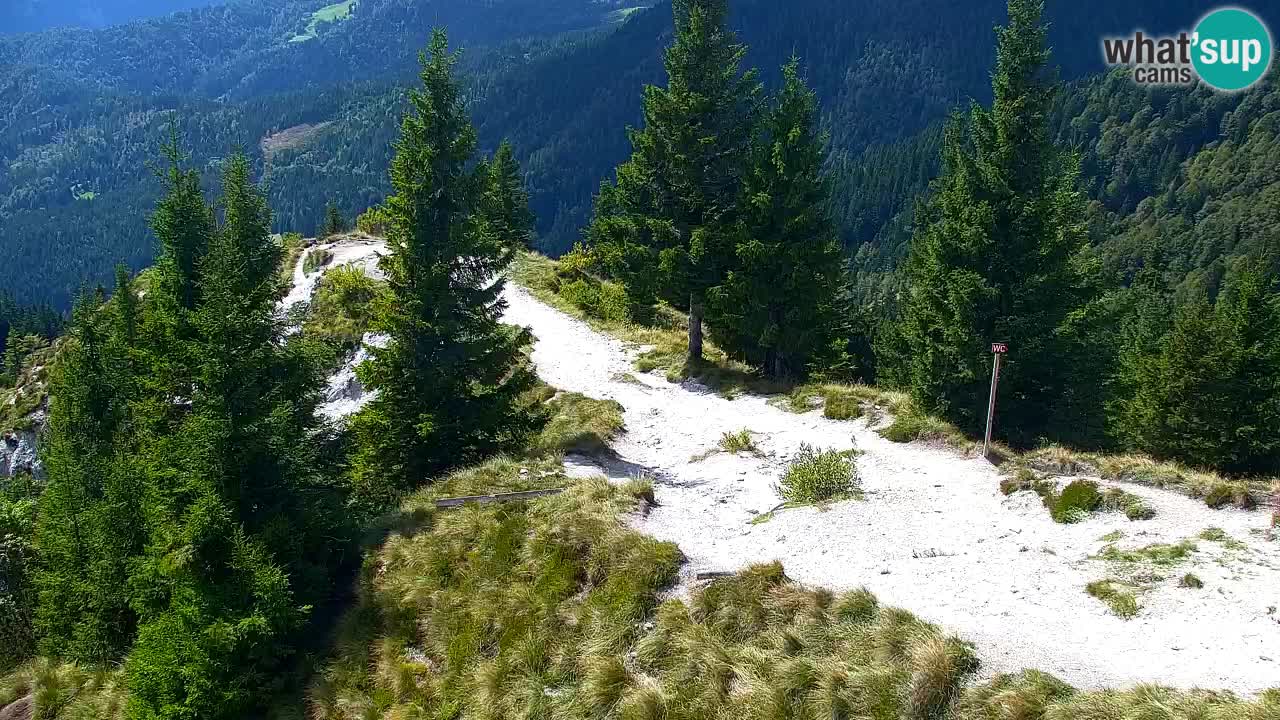 Spletna kamera Koča na Golici (1582 m) – Jesenice