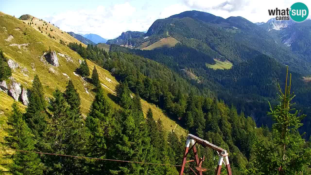 Webcam Koča na Golici (1582 m) – Slovenia