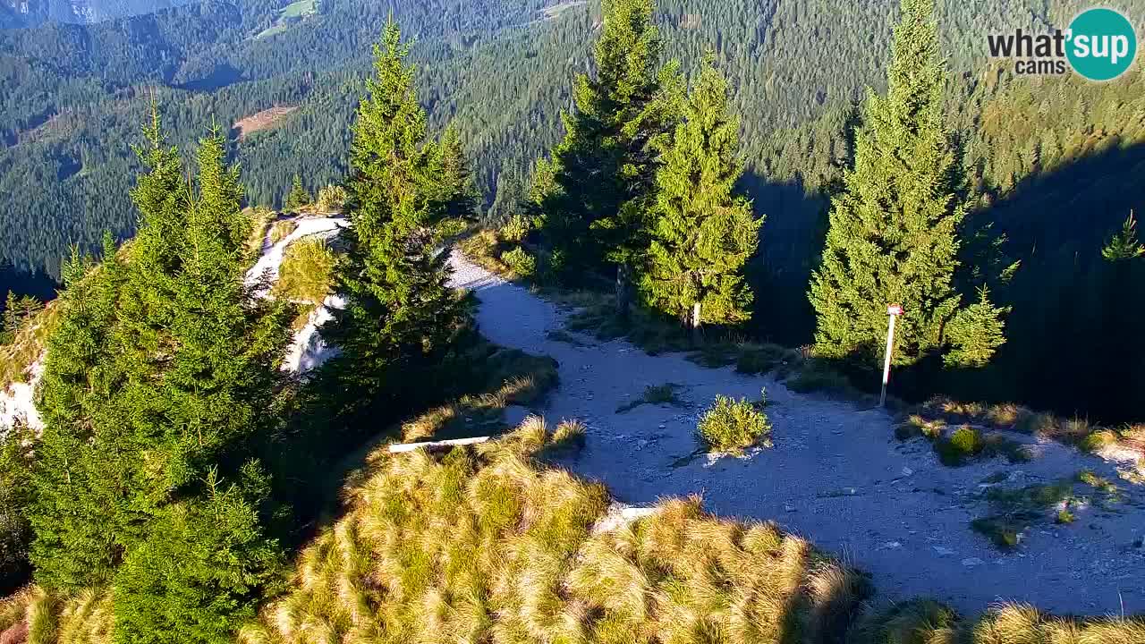 Webcam en Golica (1582 m) – Eslovenia