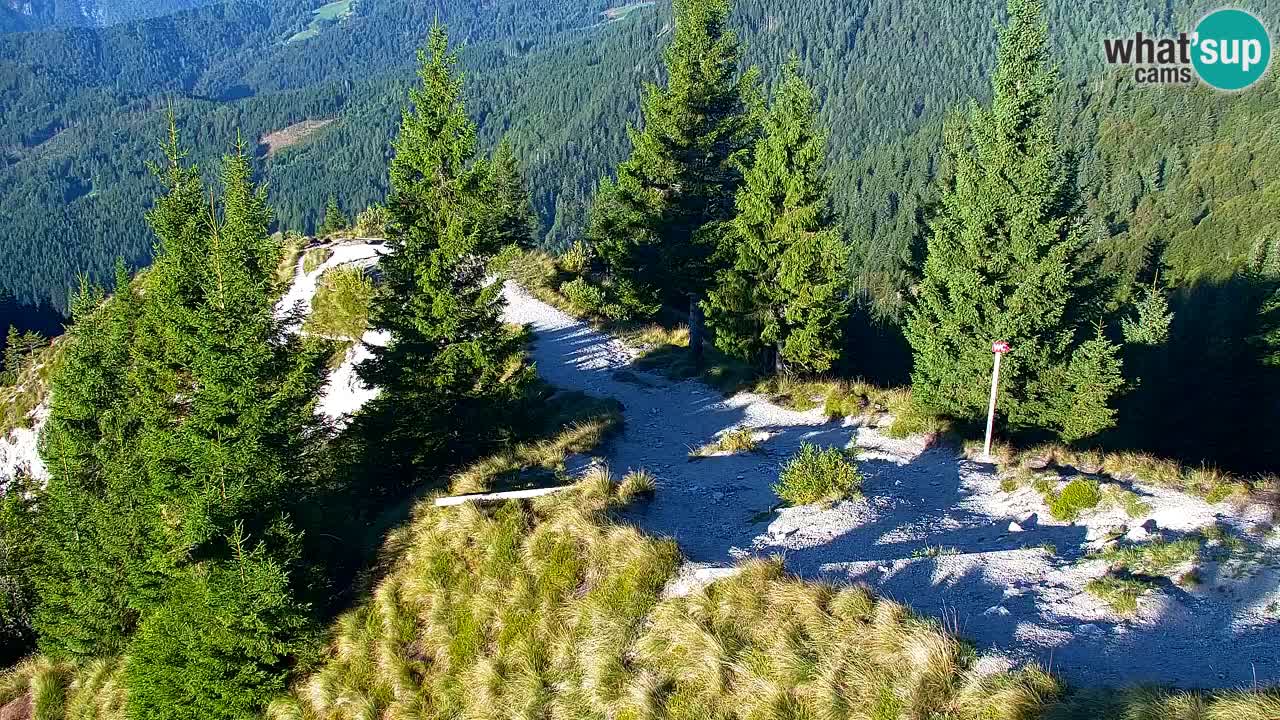 Webcam Koča na Golici (1582 m) – Slovenia