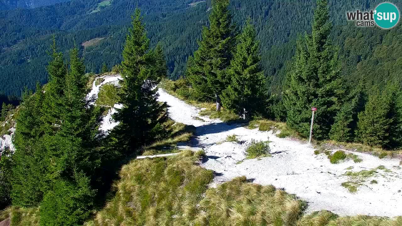 Spletna kamera Koča na Golici (1582 m) – Jesenice