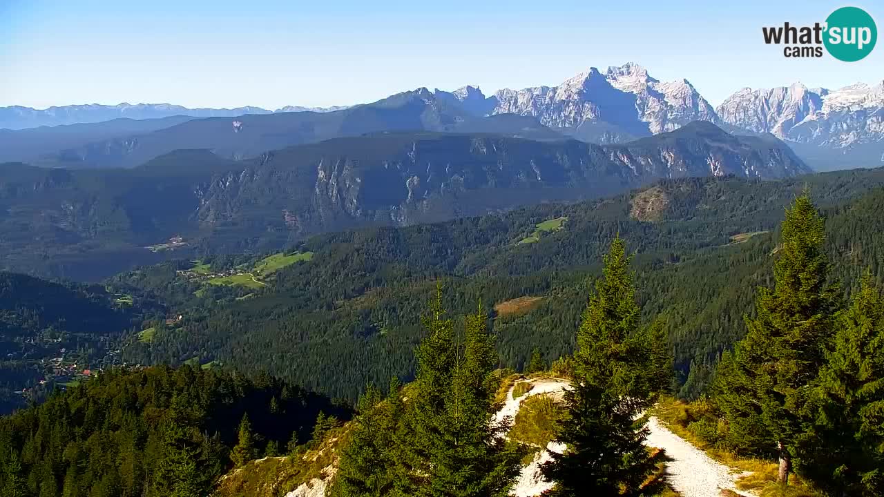 Webcam Koča na Golici (1582 m) – Slovenia