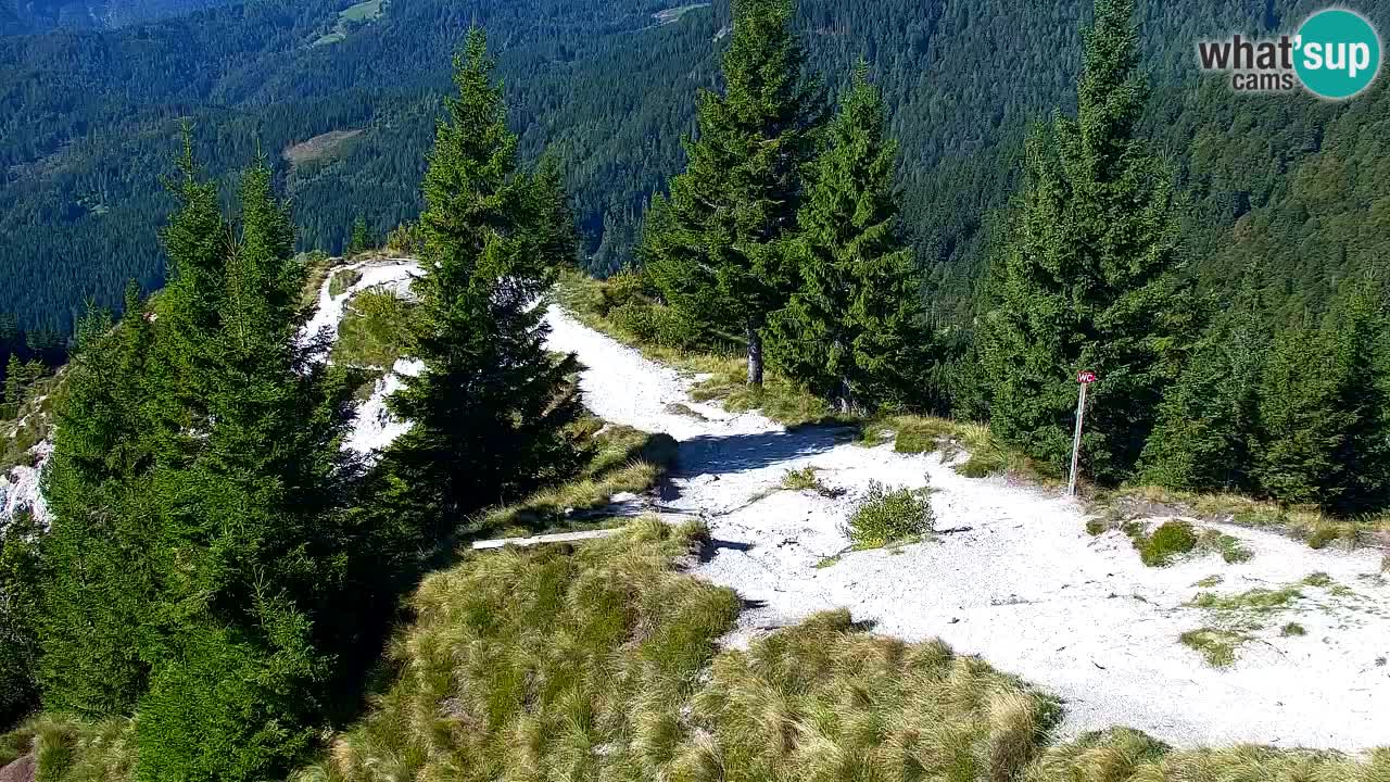 Webcam Chalet sur Golica (1582 m) – Slovénie
