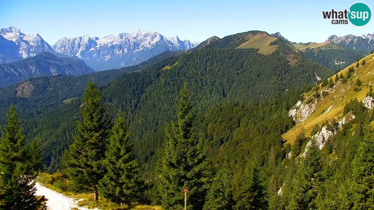 Webcam Koča na Golici (1582 m) – Slovenia