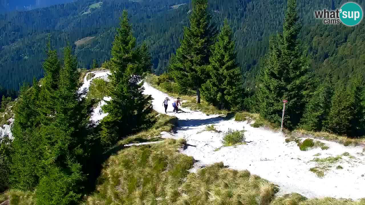 Webcam Chalet sur Golica (1582 m) – Slovénie