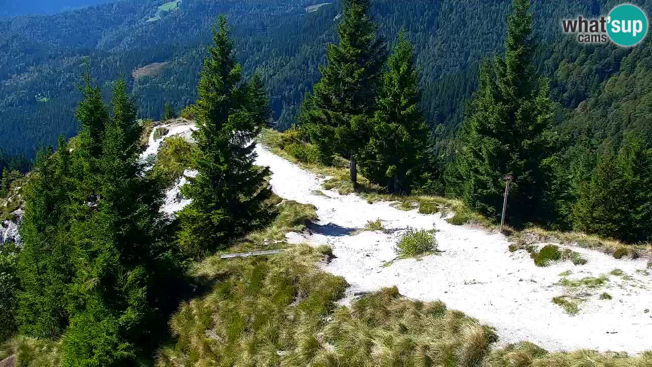 Webcam Koča na Golici (1582 m) – Slovenia
