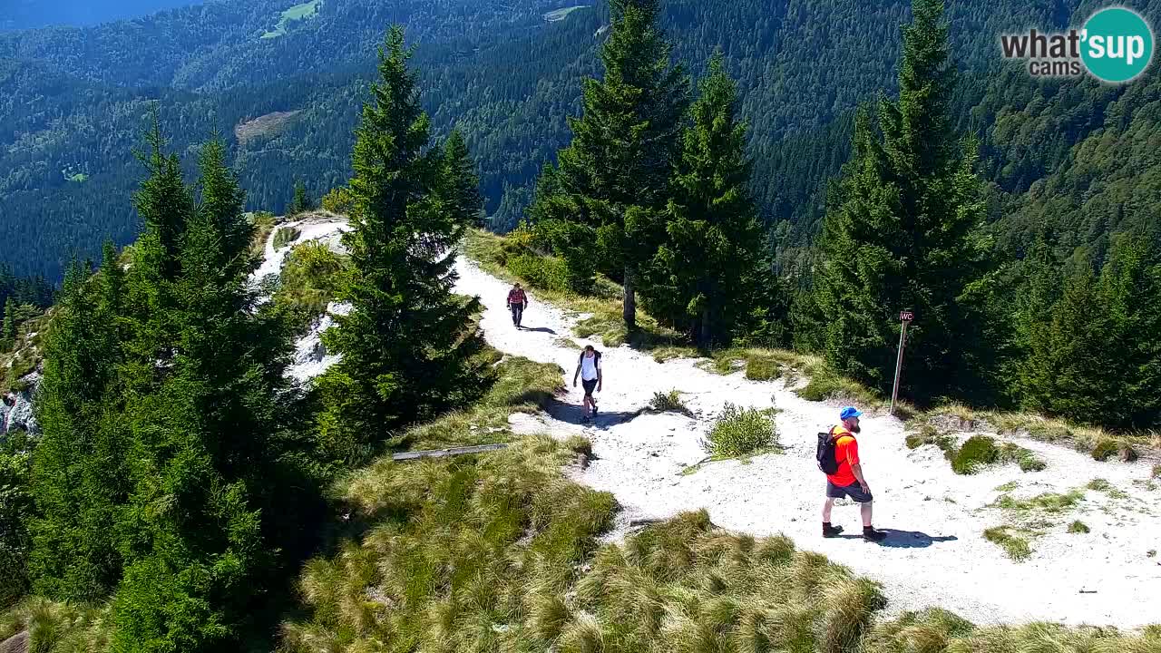 Koča na Golici Webcam (1582 m) – Slowenien