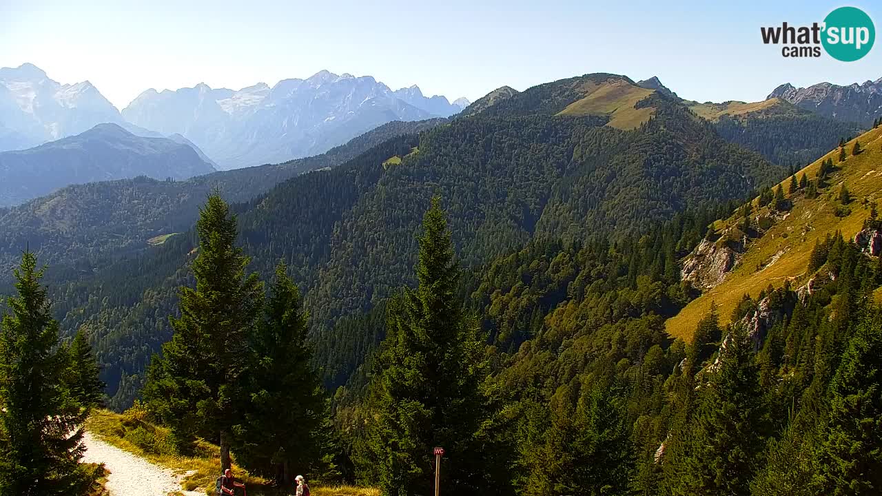 Webcam Koča na Golici (1582 m) – Slovenia