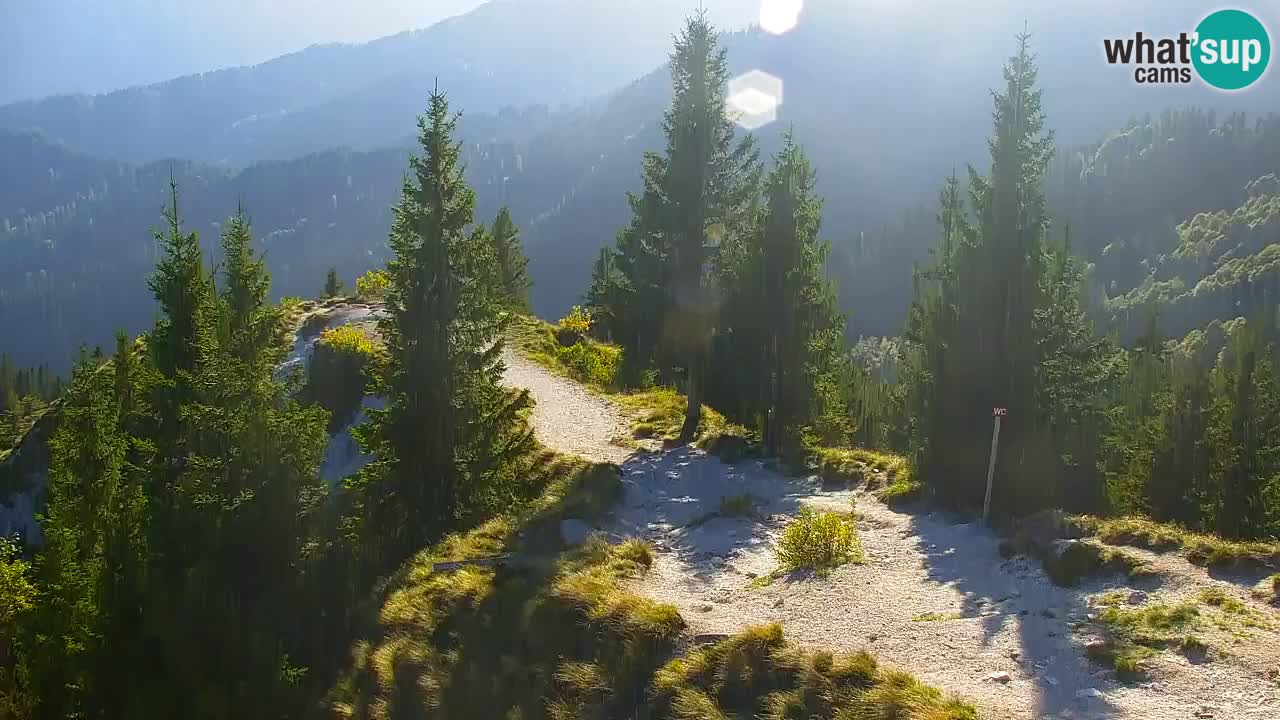 Spletna kamera Koča na Golici (1582 m) – Jesenice