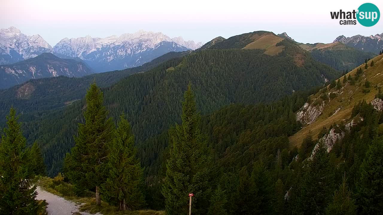 Webcam Koča na Golici (1582 m) – Slovenia