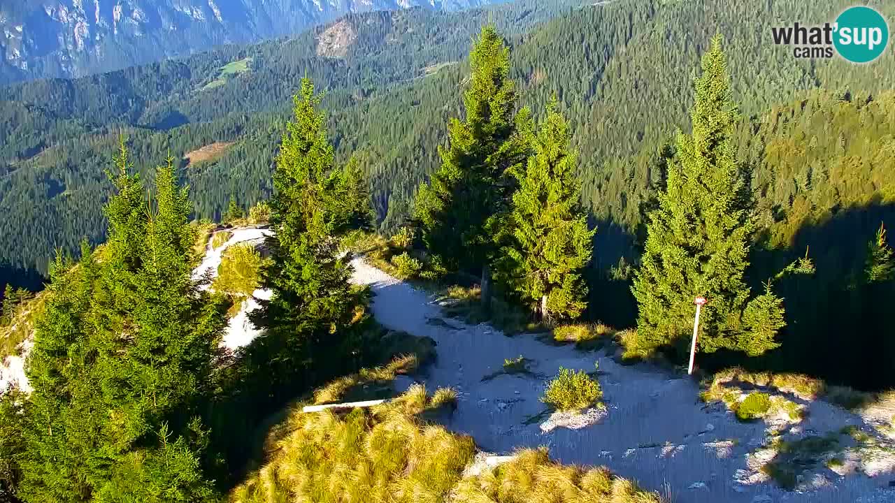 Webcam Chalet sur Golica (1582 m) – Slovénie