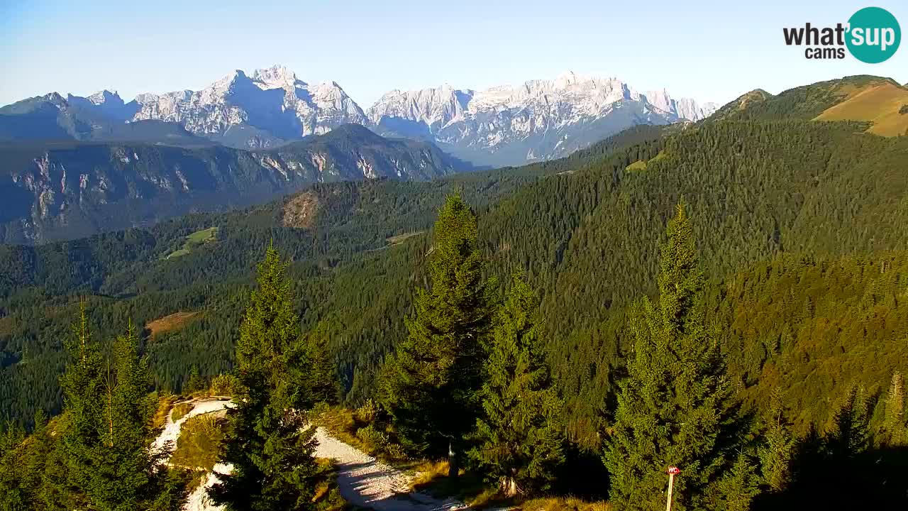 Web kamera Koča na Golici (1582 m) – Slovenija