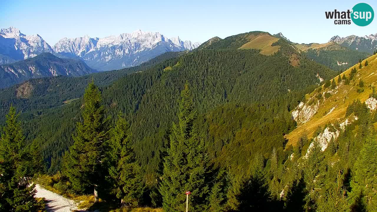 Webcam en Golica (1582 m) – Eslovenia