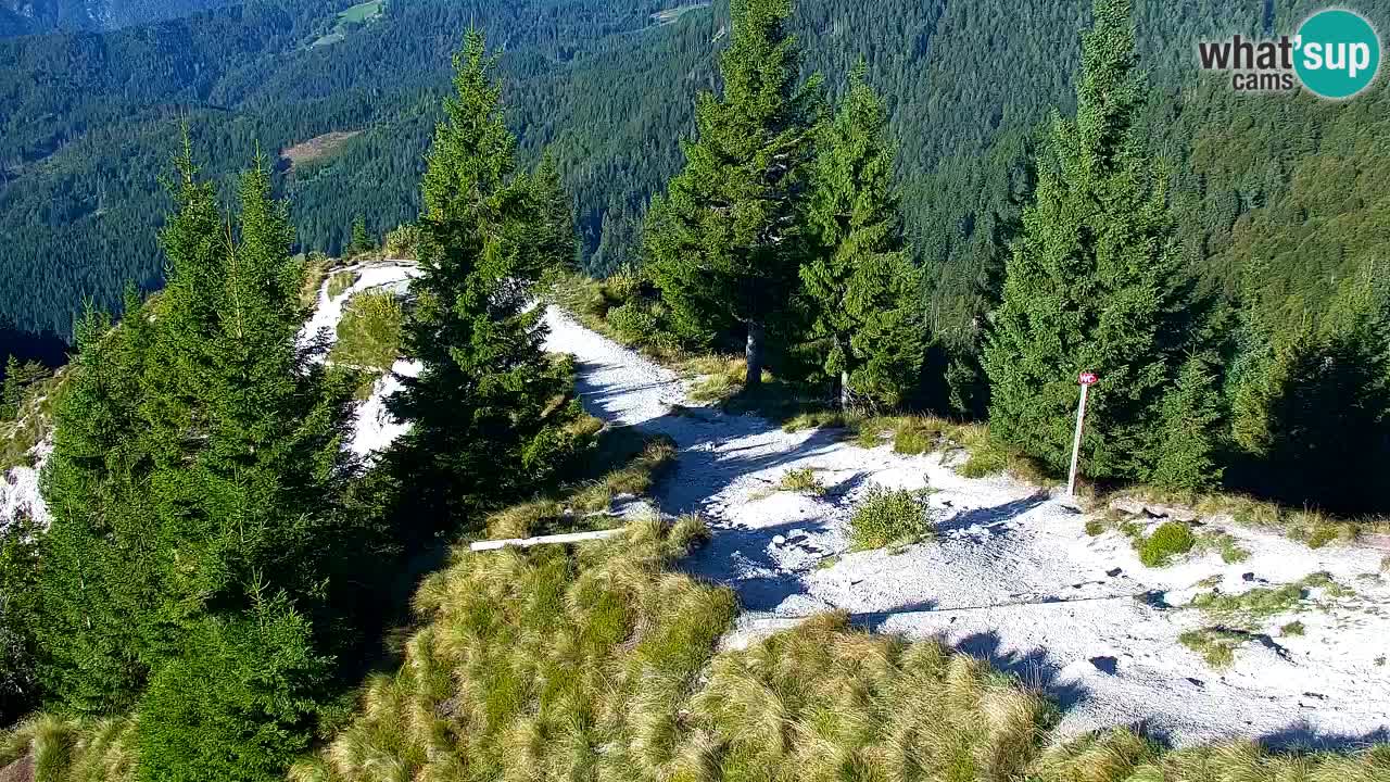Webcam na Golici – Baita di montagna (1582 m) – Slovenia