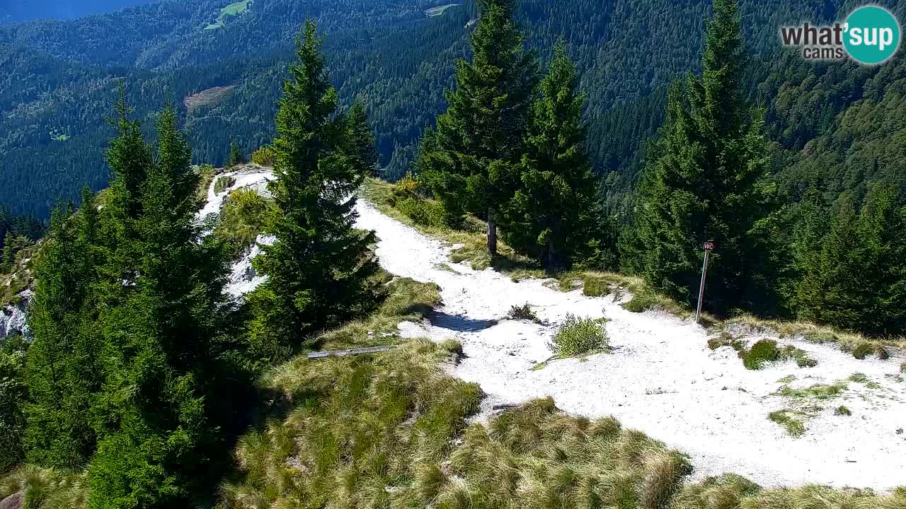 Spletna kamera Koča na Golici (1582 m) – Jesenice
