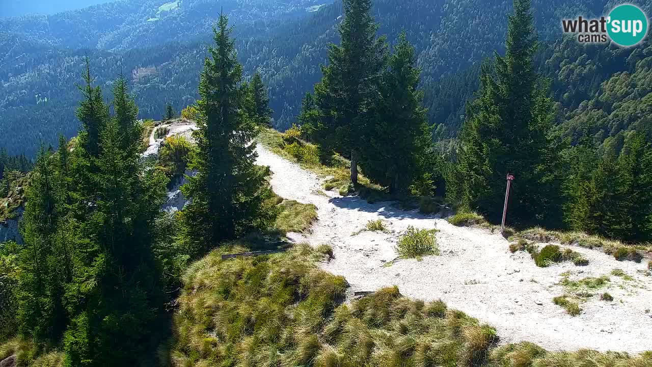 Spletna kamera Koča na Golici (1582 m) – Jesenice
