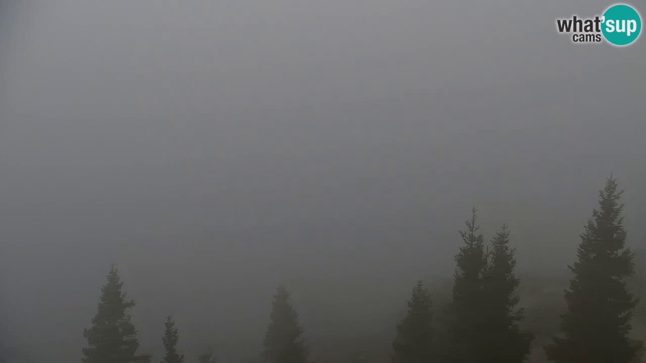 Webcam Koča na Golici (1582 m) – Slovenia