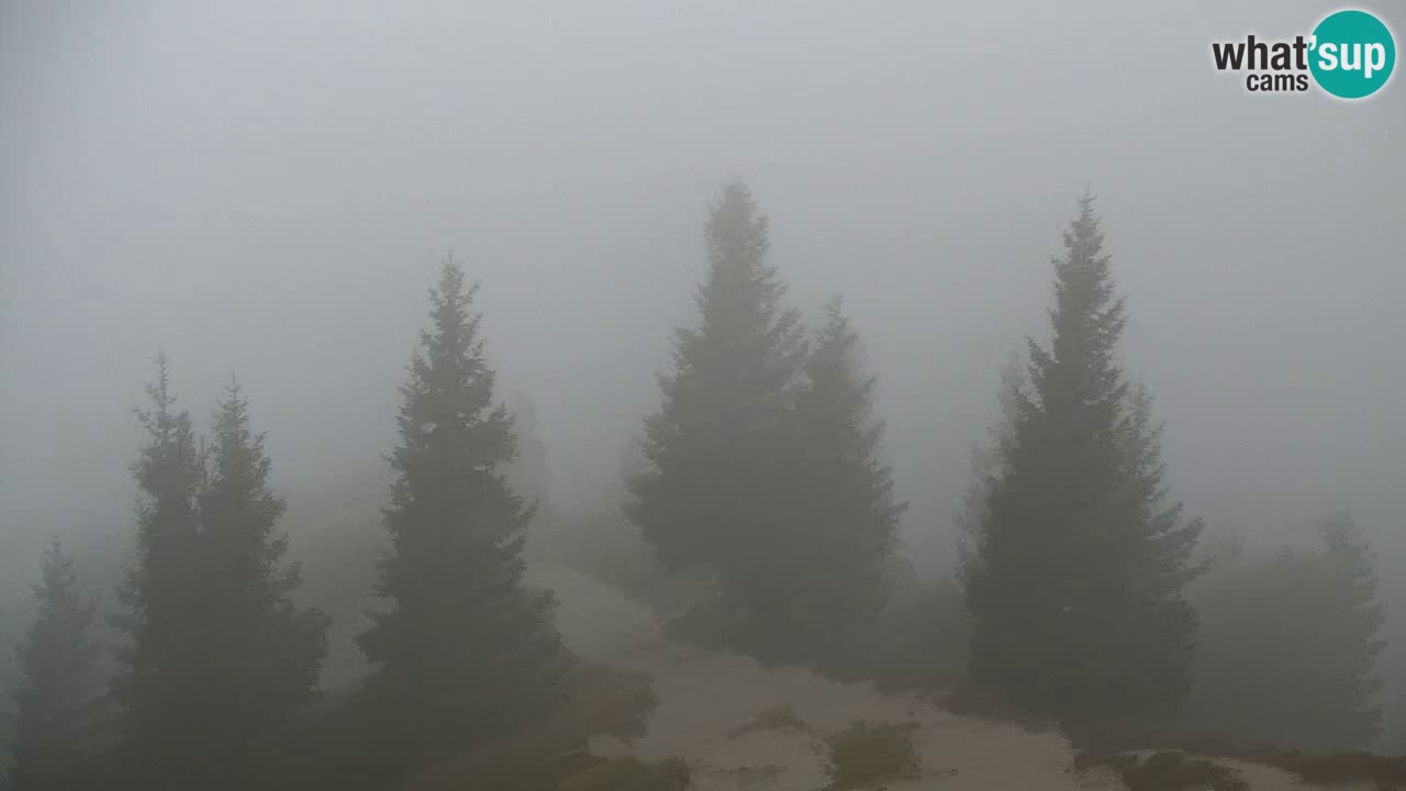 Webcam en Golica (1582 m) – Eslovenia