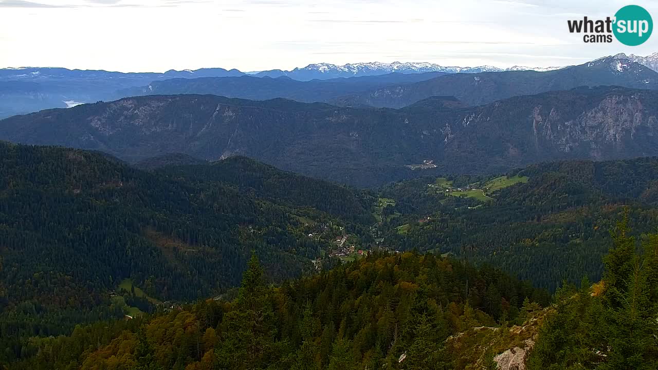 Webcam Koča na Golici (1582 m) – Slovenia