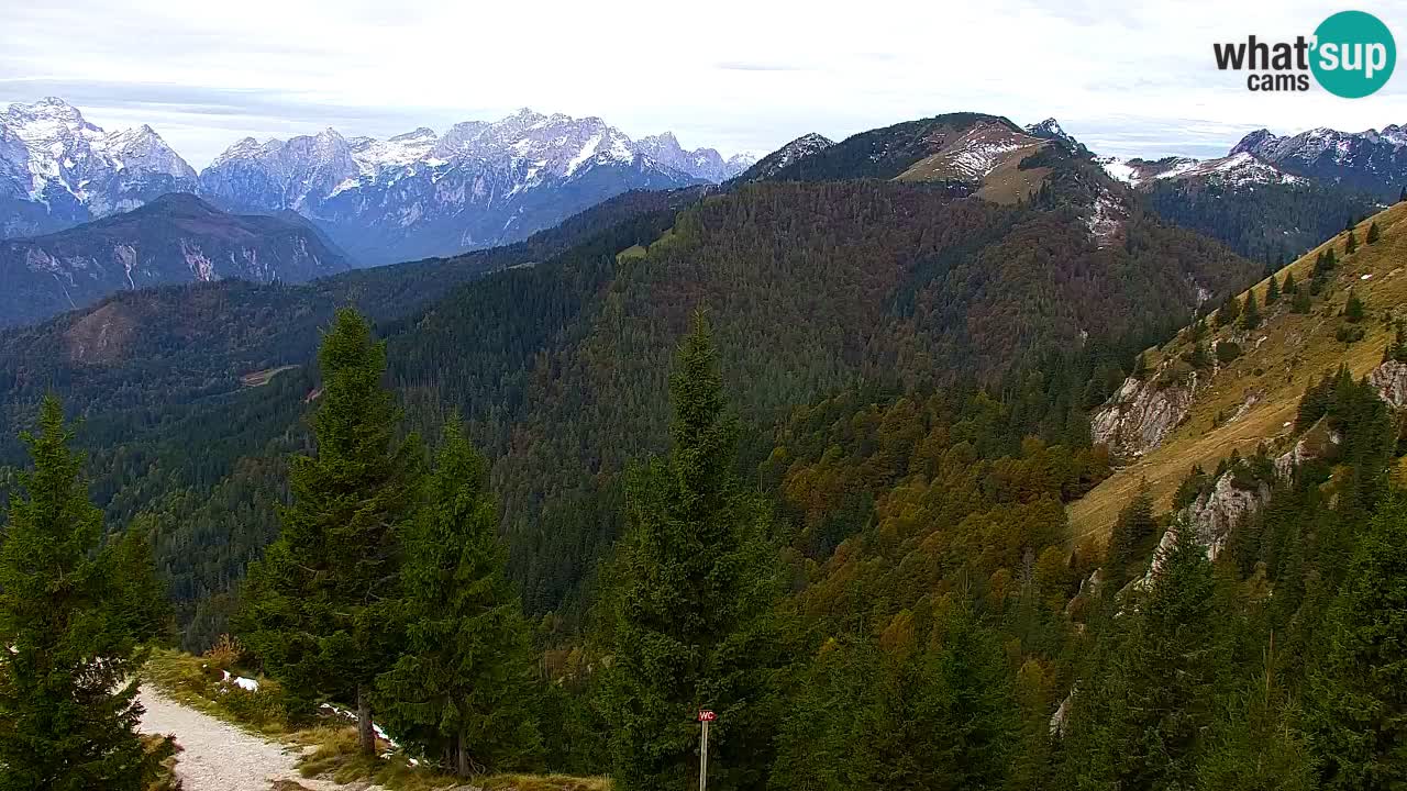 Spletna kamera Koča na Golici (1582 m) – Jesenice