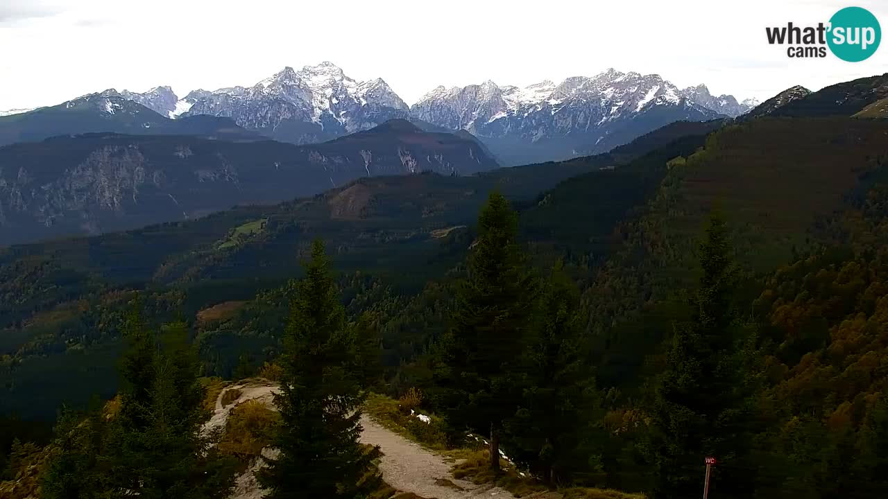 Koča na Golici Webcam (1582 m) – Slowenien