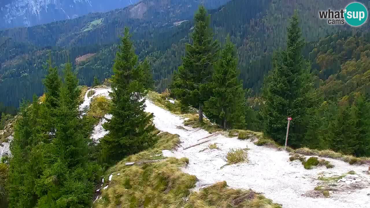 Webcam Koča na Golici (1582 m) – Slovenia