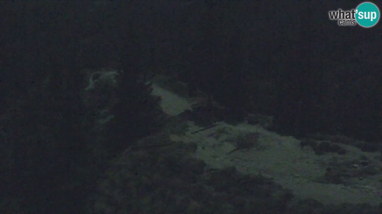 Webcam Koča na Golici (1582 m) – Slovenia