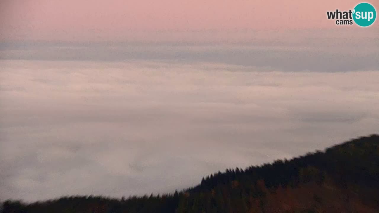 Webcam Koča na Golici (1582 m) – Slovenia