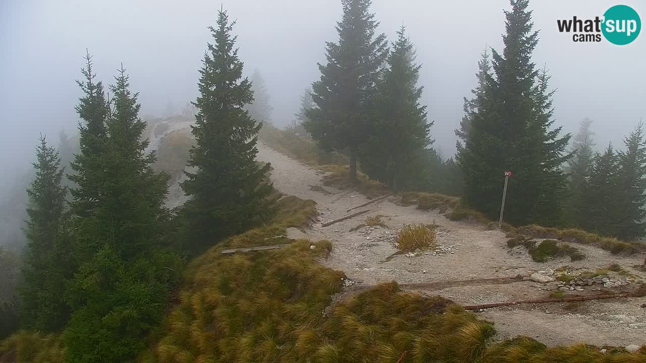 Spletna kamera Koča na Golici (1582 m) – Jesenice