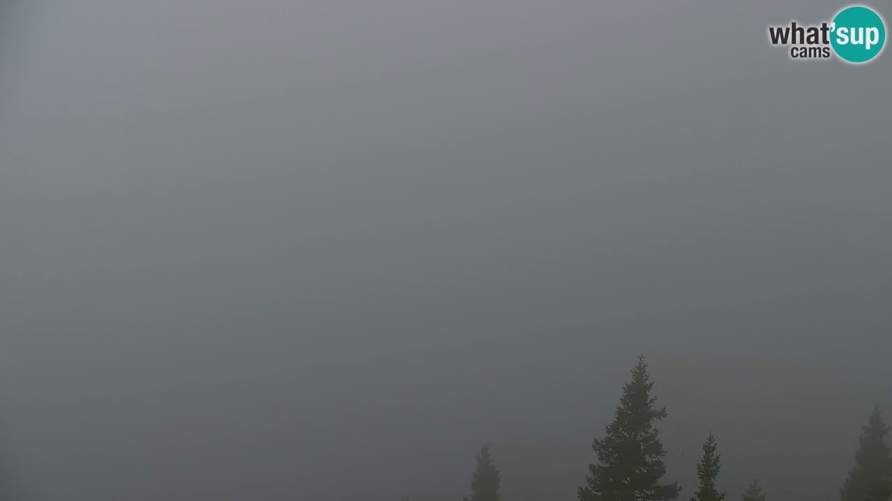 Webcam Koča na Golici (1582 m) – Slovenia