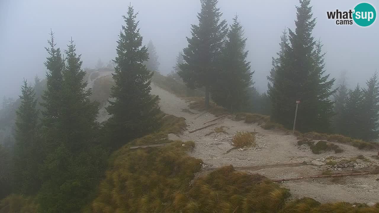 Web kamera Koča na Golici (1582 m) – Slovenija
