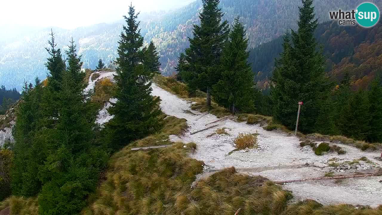 Webcam Koča na Golici (1582 m) – Slovenia
