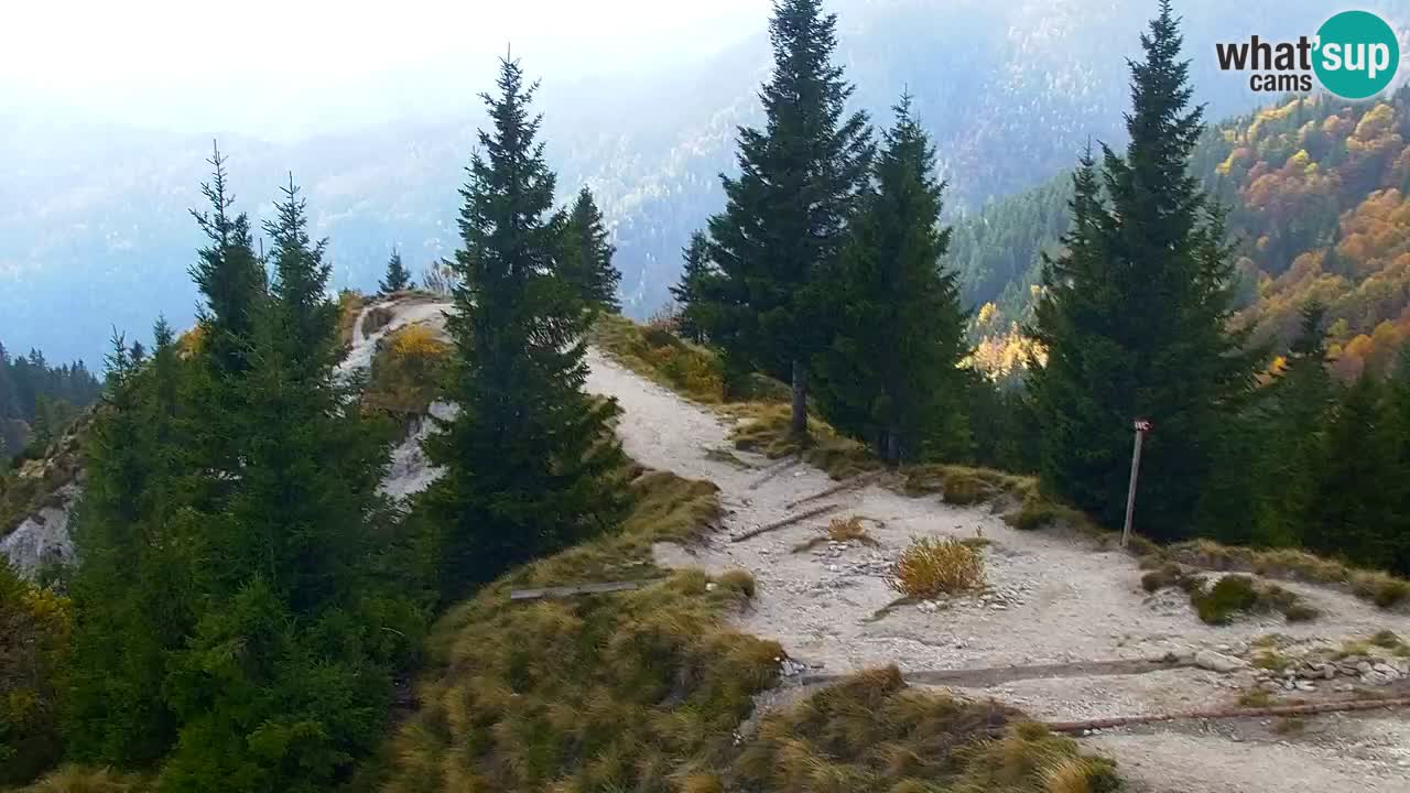 Koča na Golici Webcam (1582 m) – Slowenien