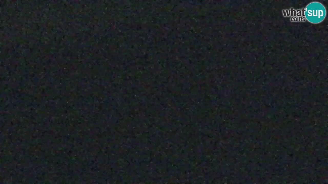 Koča na Golici Webcam (1582 m) – Slowenien