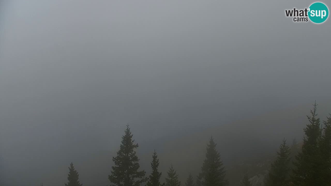 Webcam na Golici – Baita di montagna (1582 m) – Slovenia
