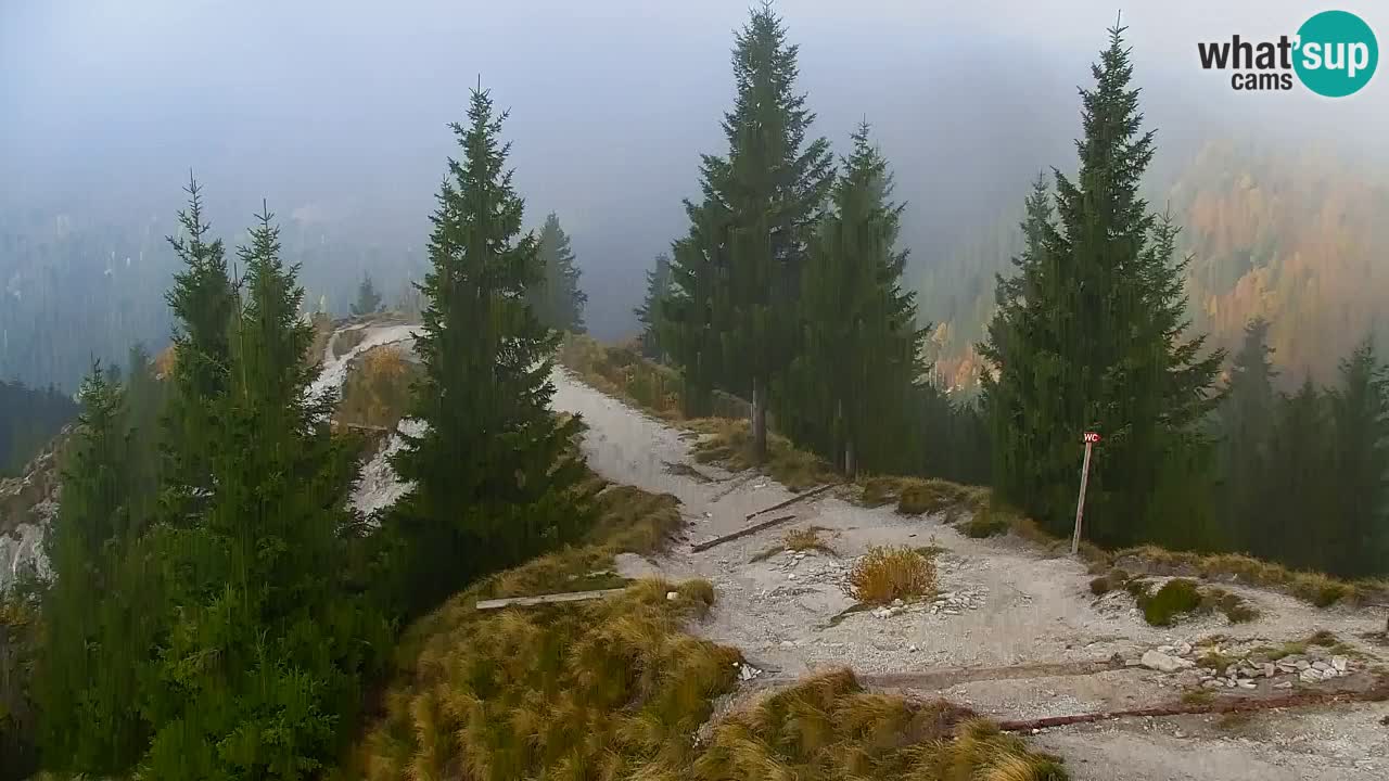 Webcam Koča na Golici (1582 m) – Slovenia
