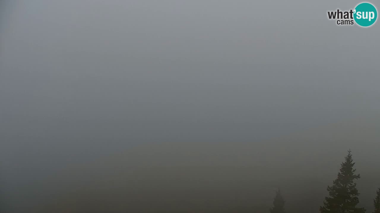 Webcam Koča na Golici (1582 m) – Slovenia