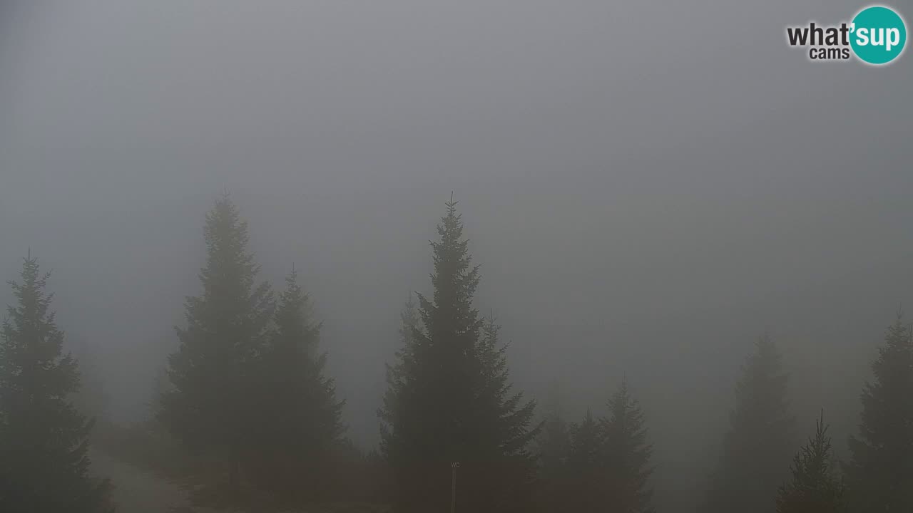 Web kamera Koča na Golici (1582 m) – Slovenija