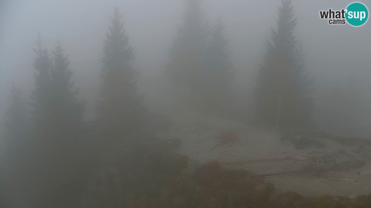 Webcam Chalet sur Golica (1582 m) – Slovénie