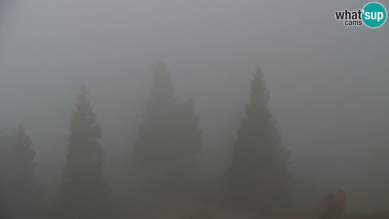 Spletna kamera Koča na Golici (1582 m) – Jesenice