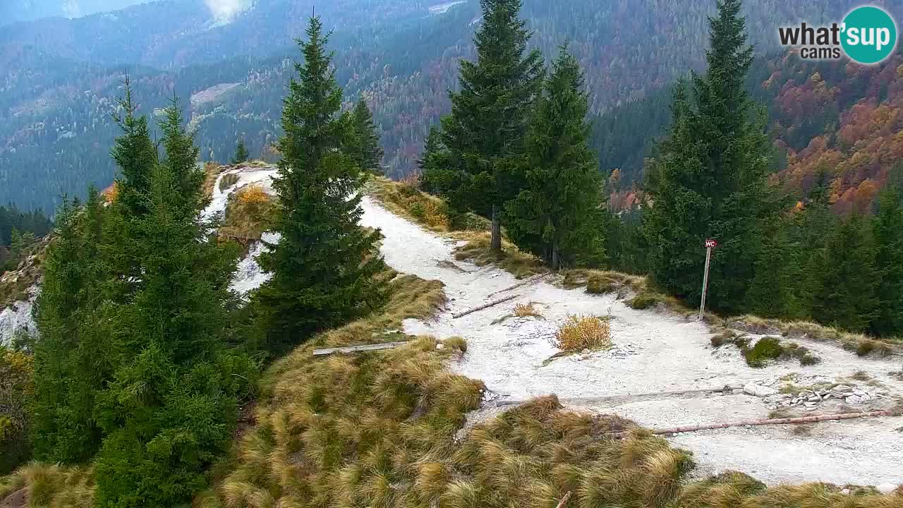 Webcam Koča na Golici (1582 m) – Slovenia