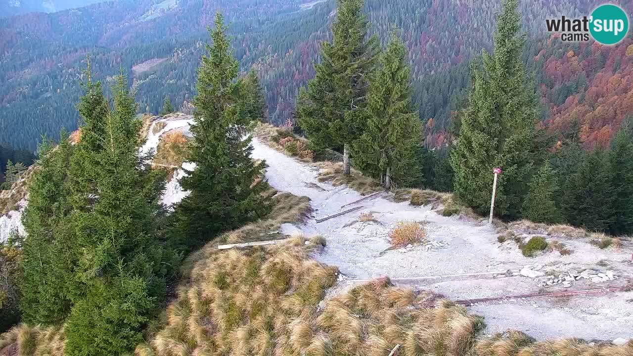 Webcam Koča na Golici (1582 m) – Slovenia