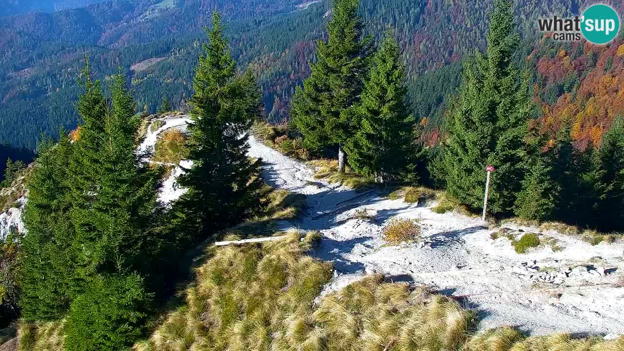 Webcam na Golici – Baita di montagna (1582 m) – Slovenia