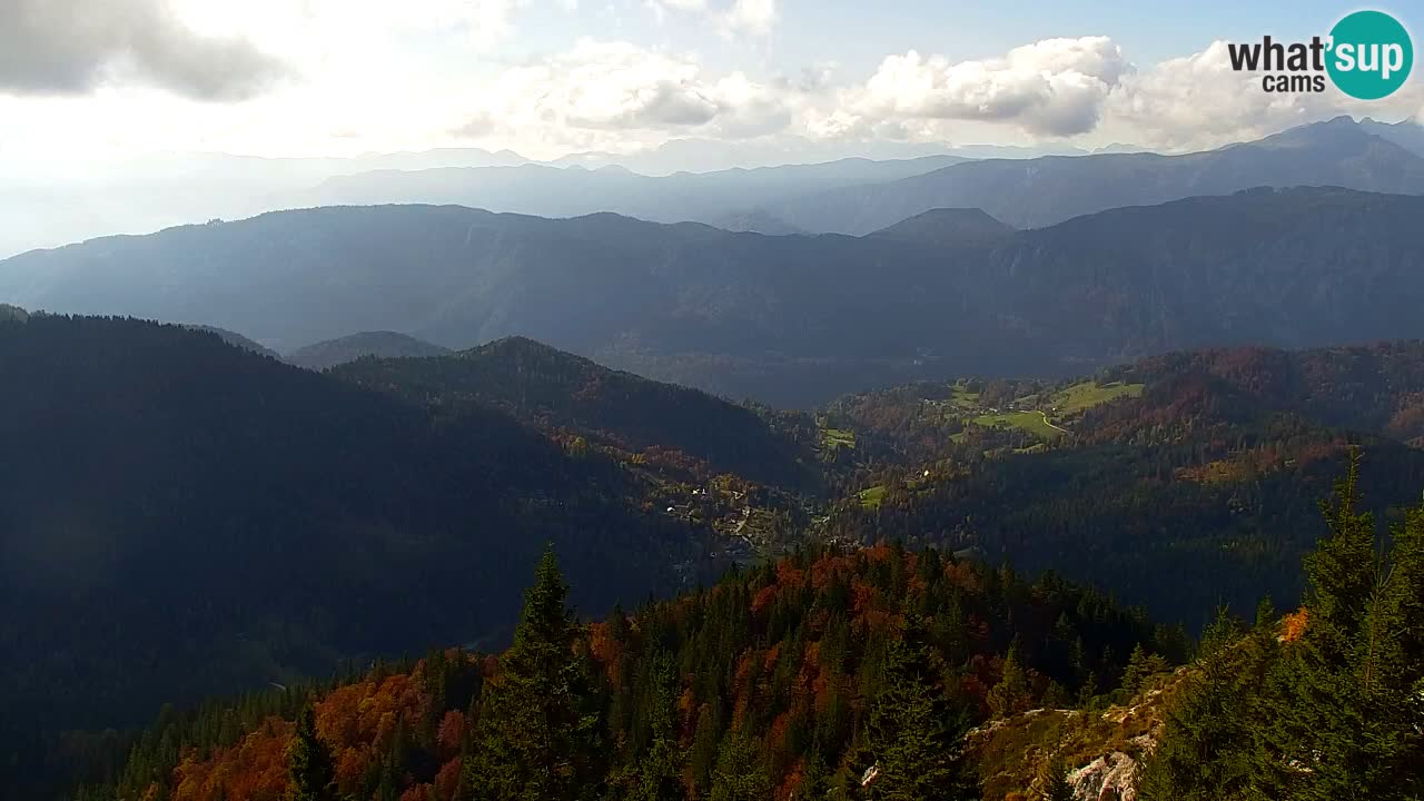 Web kamera Koča na Golici (1582 m) – Slovenija