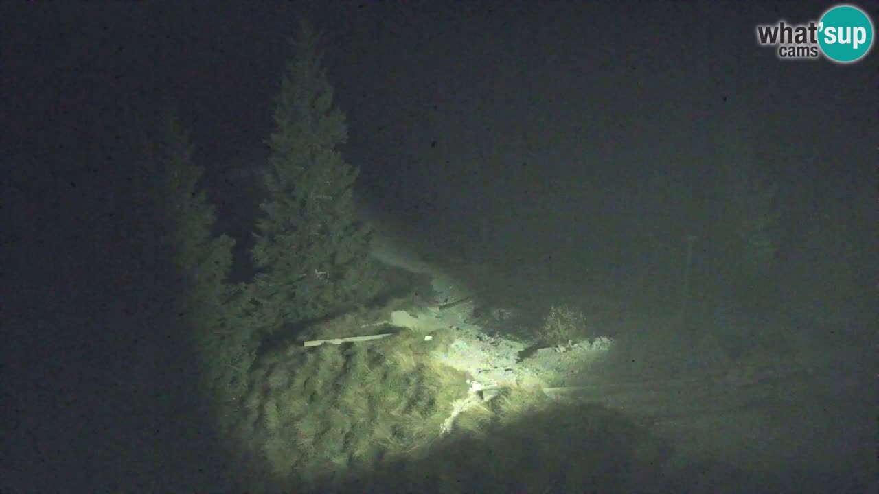 Spletna kamera Koča na Golici (1582 m) – Jesenice