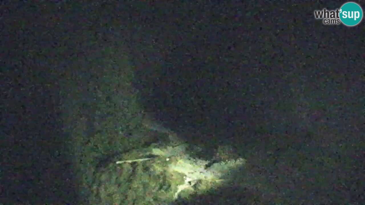 Web kamera Koča na Golici (1582 m) – Slovenija